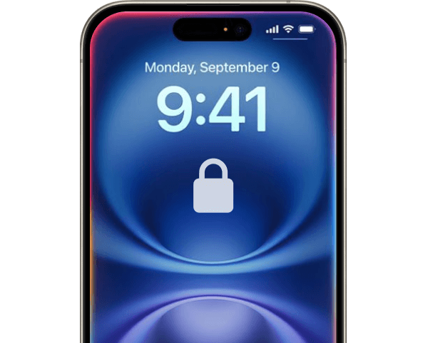 Fallo en la verificación