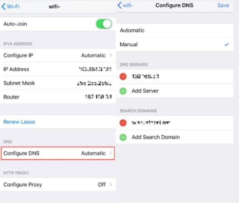 Seleccionar DNS manual