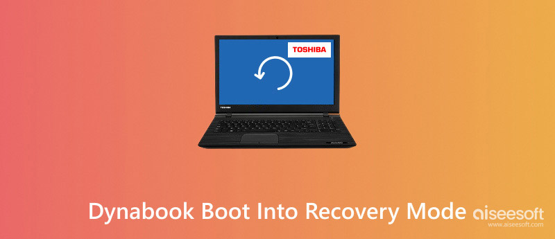 Dynabook arranca en modo recuperación