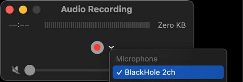 Establecer el micrófono en Blackhole