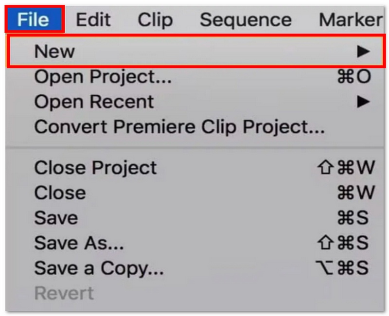 Open New Project