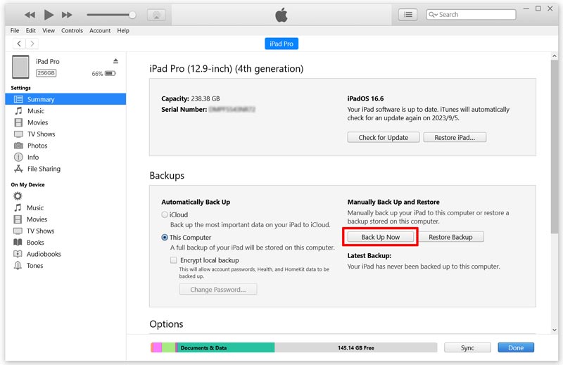 Haga una copia de seguridad de los datos del iPad Pro antes de almacenarlos