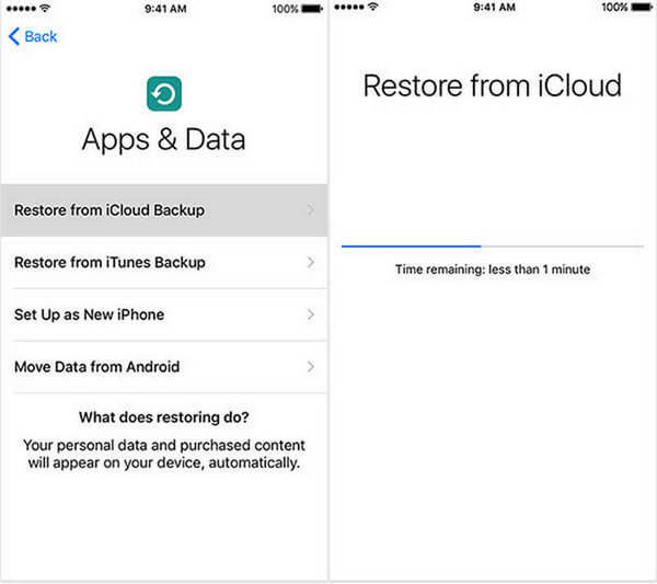 Elija Restaurar desde iCloud Backup
