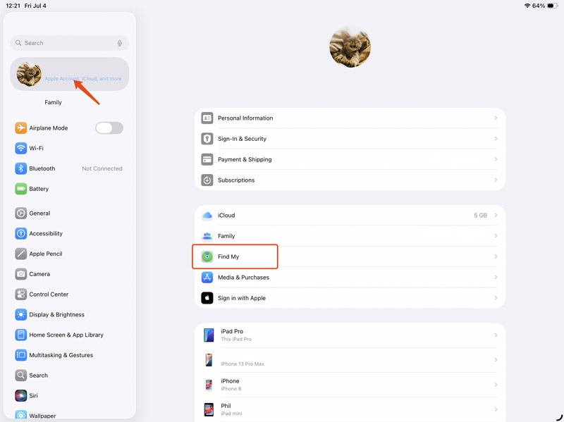 Buscar mi cuenta de Apple en iPad