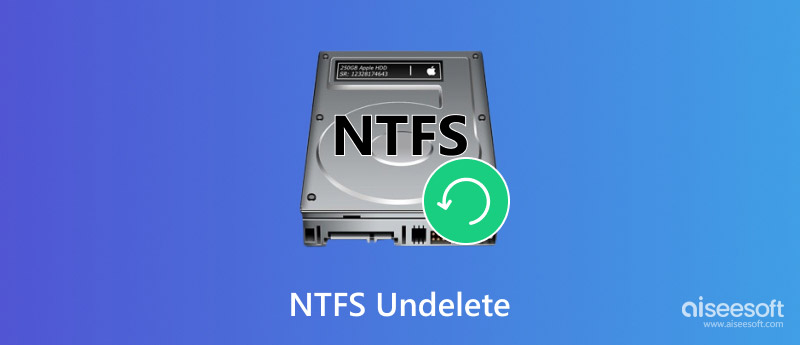 NTFS Undelete