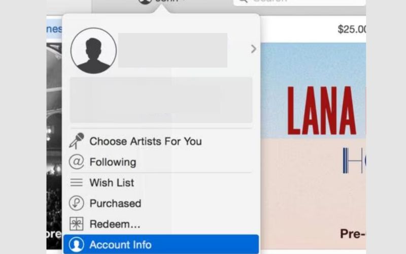 Haga clic en Configuración de la cuenta