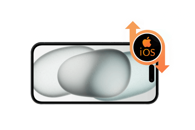 Actualizar Downgrade