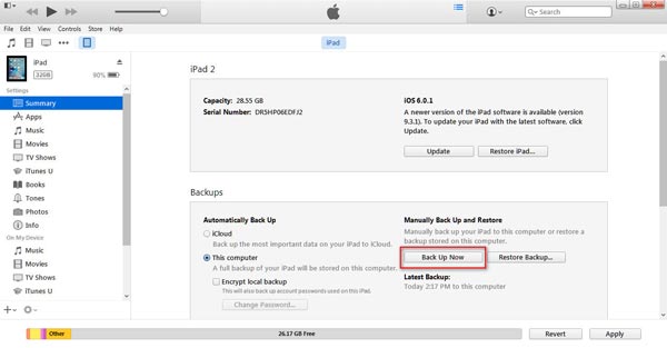 IPad de respaldo