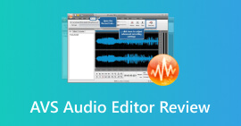 Revisión del editor de audio AVS