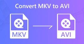 Convertir WMV a MP4