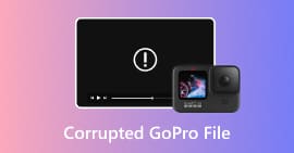 Archivo GoPro dañado