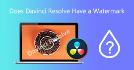 Does Davinci Resolve Have a Watermark