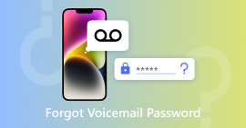 Olvidé mi contraseña de correo de voz