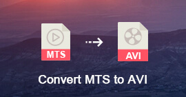 Convierte MTS a AVI