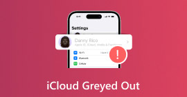iCloud en gris