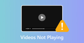 Mis videos no se reproducen