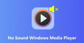 HDD no aparece en Windows