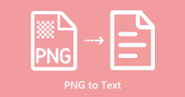 PNG a texto