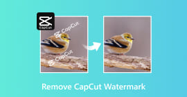 Eliminar la marca de agua CapCut
