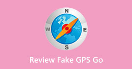 Interfaz GPS Go falsa