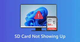Sd Card Not Showing Up