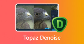 Topacio DeNoise