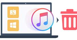 Desinstalar iTunes