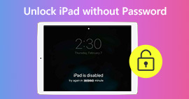 Desbloquear iPad sin contraseña