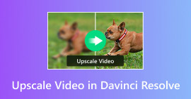 Combinar archivos MP4 en Mac