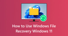 Utilice la Recuperación de archivos de Windows