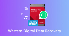 Recuperación de datos digitales occidentales