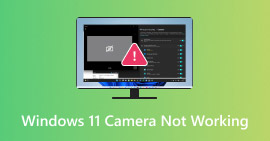 La cámara de Windows 11 no funciona