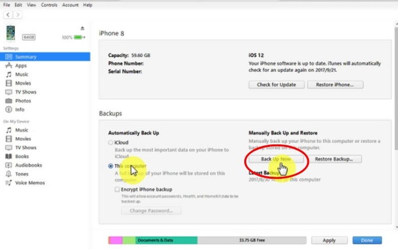 Haga clic en Copia de seguridad de iTunes