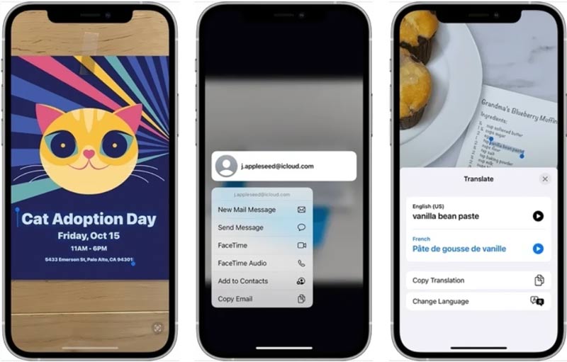 ¿Qué es el texto en vivo iOS?