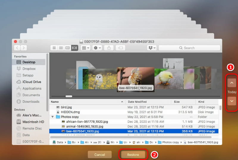 Recuperar archivos a través de Time Machine