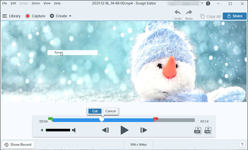 Snagit MAC Screen Recorder