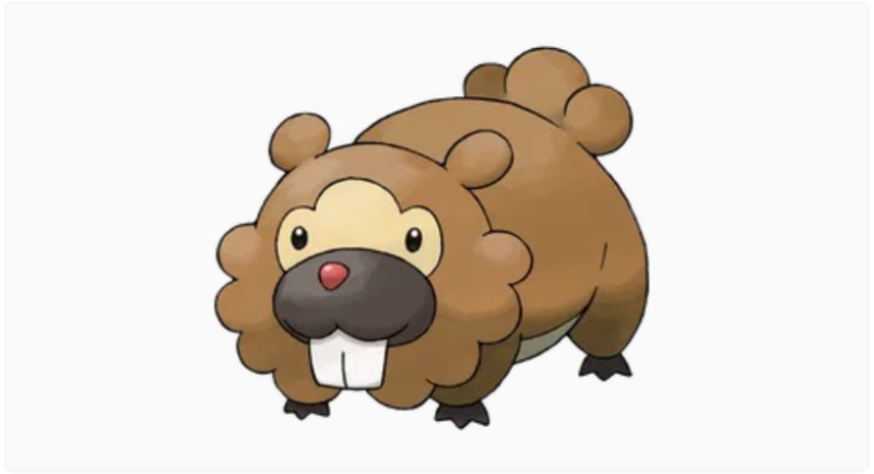 Bidoof Sinnoh Region