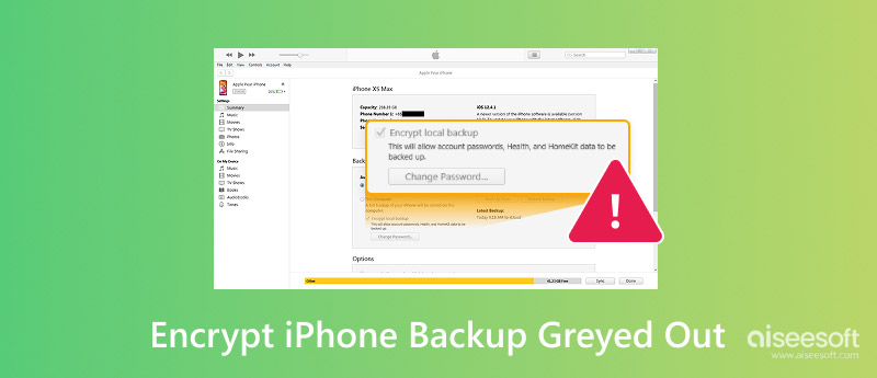 Encrypt Iphone Backup Greyed Out