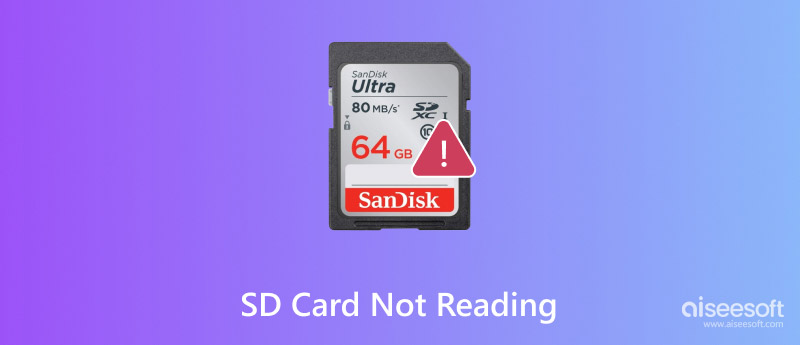 La tarjeta SD no está leyendo