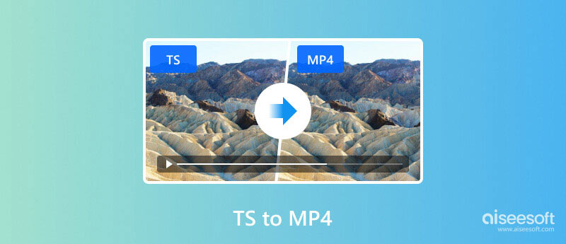 TS a MP4