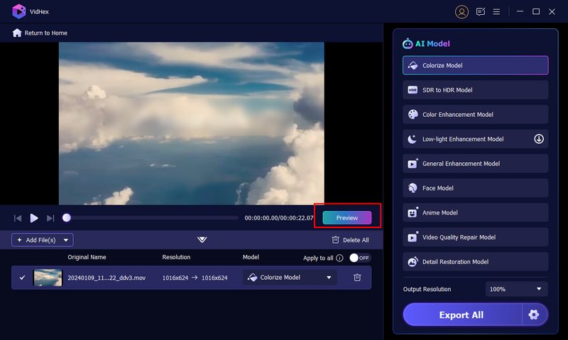 Vista previa del resultado coloreado con IA en Vidhex