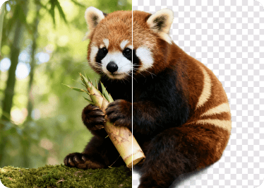 Removedor de fondo gratis
